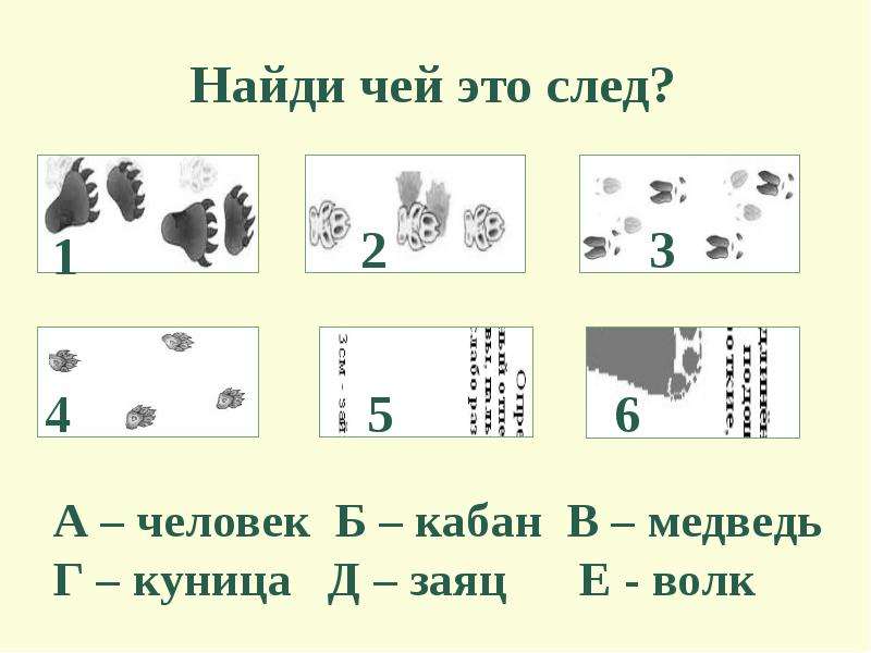 Узнать чей. Игра Найди чей след. Чьи эти следы. Задание для выпускной группы Найди чей след. Чей.