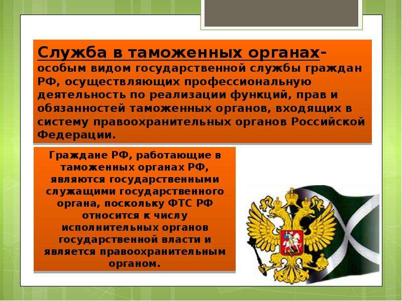 Особый вид. Государственные органы таможни. Административно правовой статус таможни. Таможенные органы презентация. Служба в таможенных органах является.