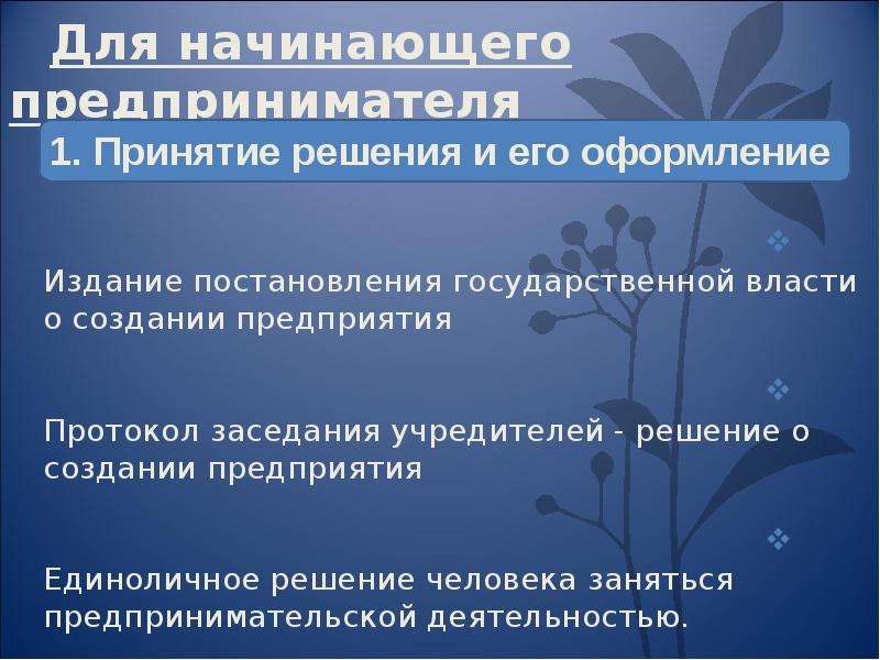 Правовые основы предпринимательской деятельности 11 класс боголюбов презентация