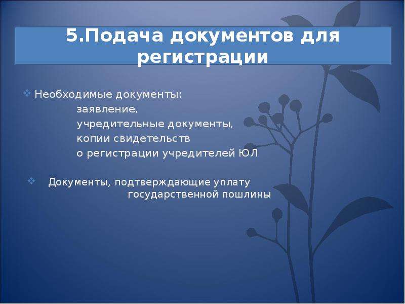 Презентация на тему правовые основы предпринимательской деятельности 10 класс