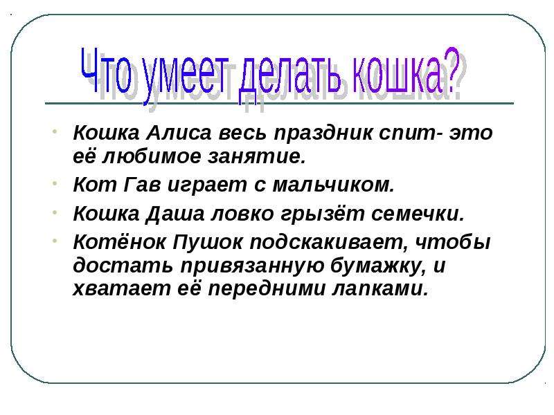 Что умел хорошо делать. Что умеют делать кошки. Что умеет делать кот. Что не умеет кошка. Что не умеют делать кошки.