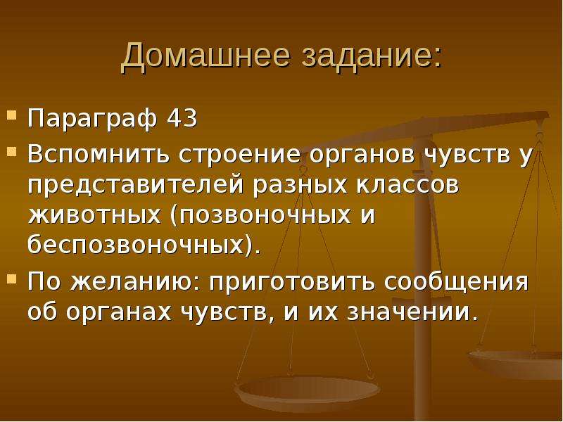 Презентация 7 класс нервная система рефлекс инстинкт 7 класс