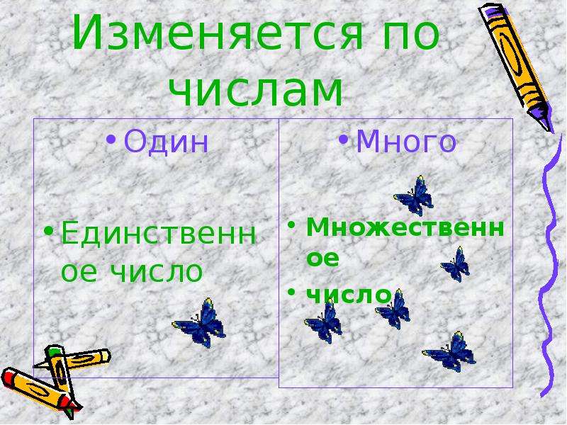 Мебель единственное или множественное. Мебель число единственное или множественное. Пальто число единственное или множественное. Пони число единственное или множественное число.