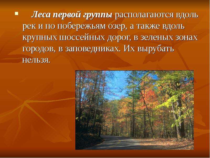 Какие есть группы лесов. Леса первой группы. Группы лесов. Леса 1 класс презентация. Группы лесов России.