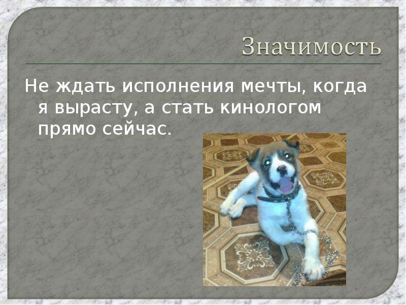 Ждущий значение. Гипотеза кинологии. Сочинение про кинолога. Профессия моей мечты кинолог. Актуальность темы проекта кинология.