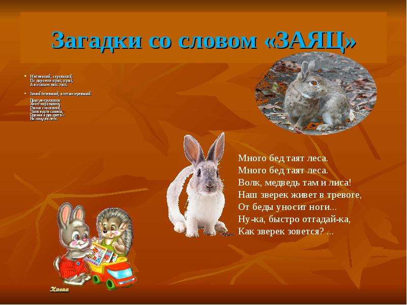 Лексическое слово заяц. Загадка про зайца. Загадка про зайца беляка. Загадка про зайца для детей. Загадка про зайца 2 класс.