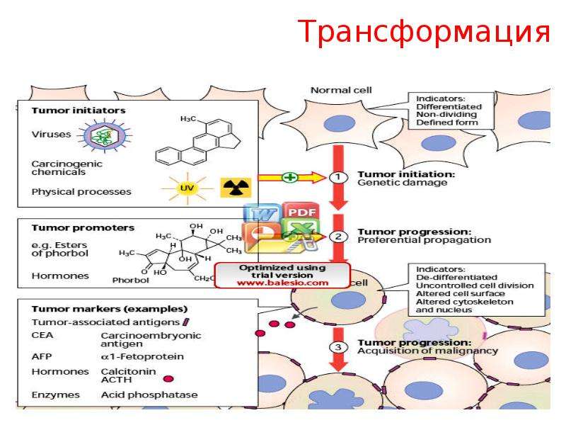 Фруктоземия биохимия презентация