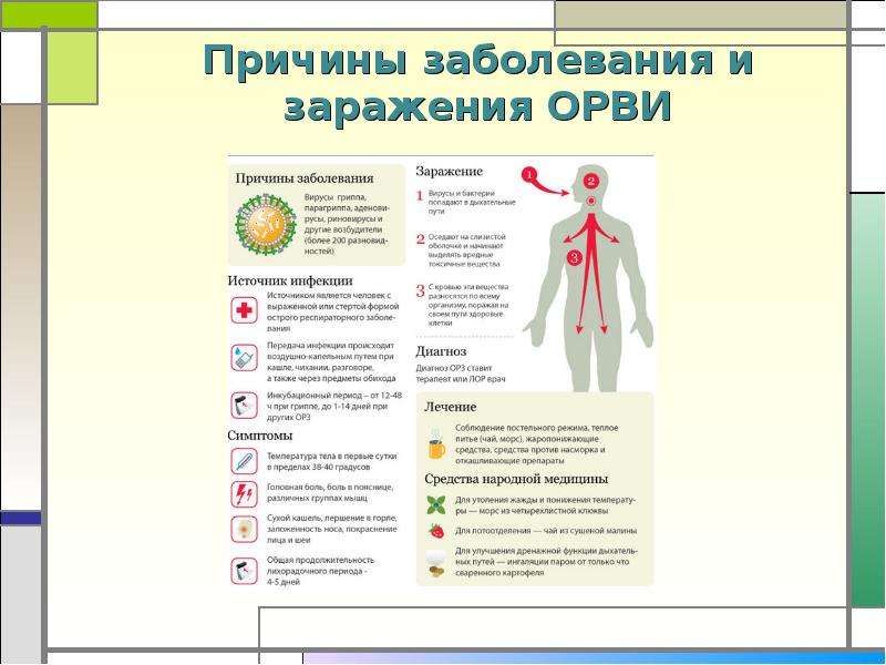 Респираторные заболевания презентация