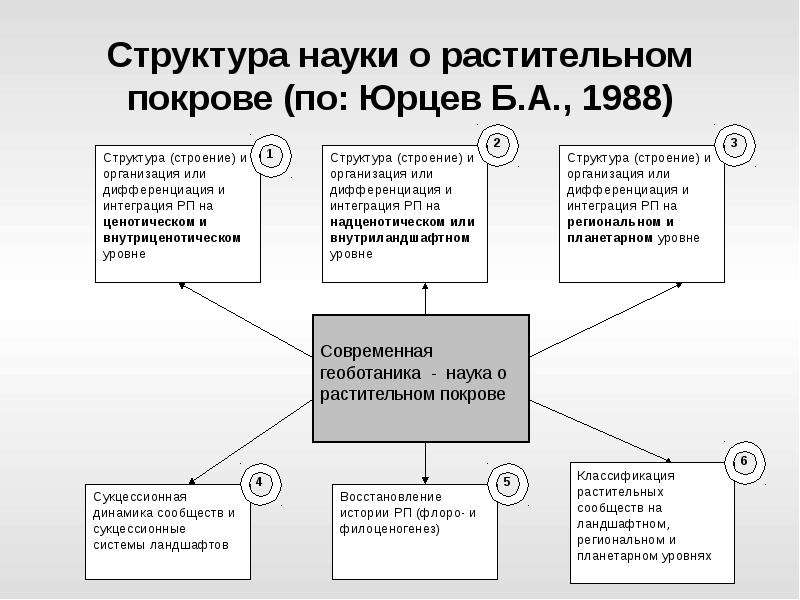 Структура науки. Структура современной науки. Геоботаника - структура научных. Внутриценотических.