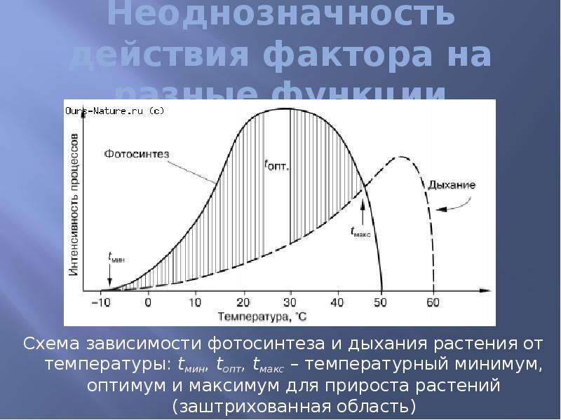 На интенсивность дыхания влияет