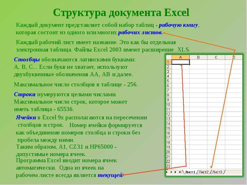 Столбцы обозначаются. Из чего состоит электронная таблица excel. Структура документа excel. Структура электронных таблиц MS excel. Структура документа представляет собой.