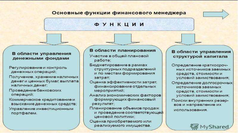 Функции менеджера проекта реферат