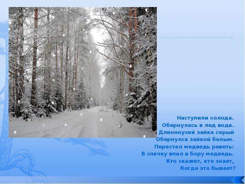 Наступили холода. Наступили холода обернулась в лед. Наступили холода обернулась в лед вода Длинноухий. Пришла зима наступили холода. Наступили холода обернулась в лёд вода Длинноухий Зайка серый.