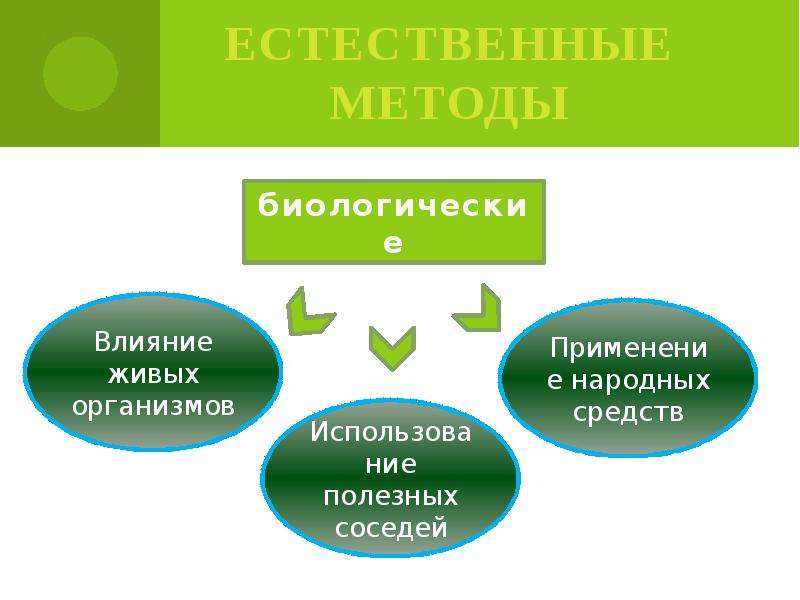 Использование организмов. Средства защиты растений в биологии. Влияние живых организмов на технологии. Естественный метод. Классификация биологических средств защиты растений.