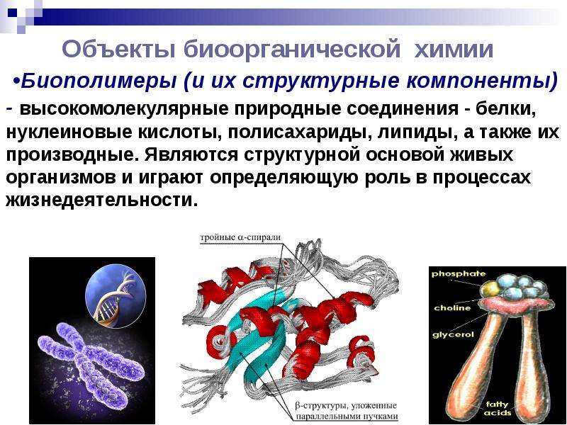 Презентация введение в химию 7 класс