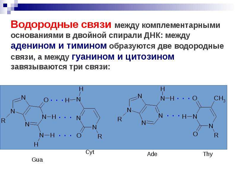 Водородная связь 8 класс презентация