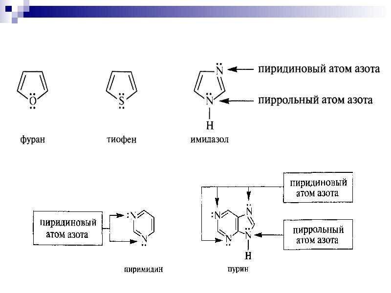 Не содержит атомов азота. Электронное строение пиррольного и пиридинового атома азота. Пиридиновый атом азота. Пиррольный атом азота. Пиррольный и пиридиновый атомы азота.