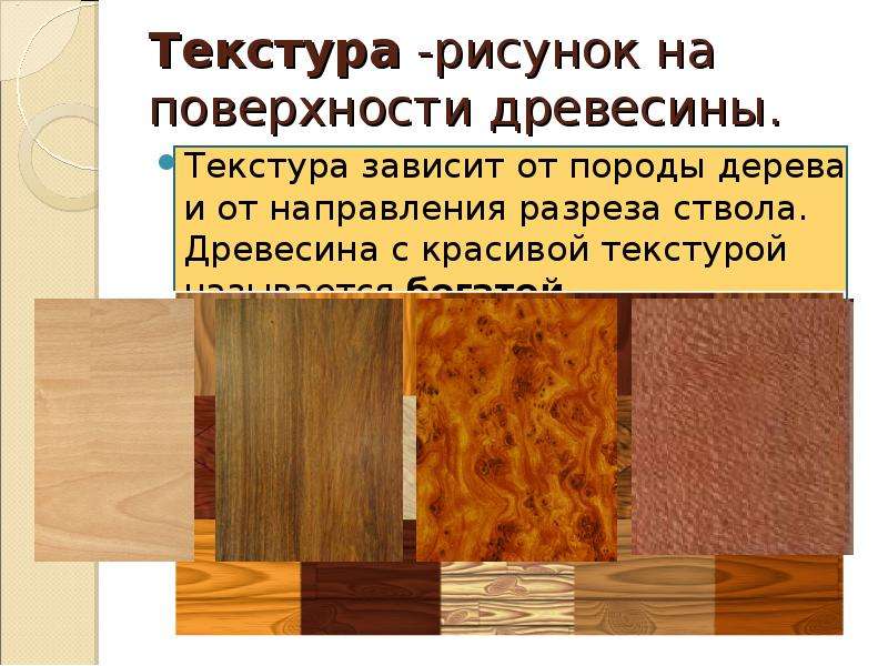 Рисунок поверхности древесины как называется