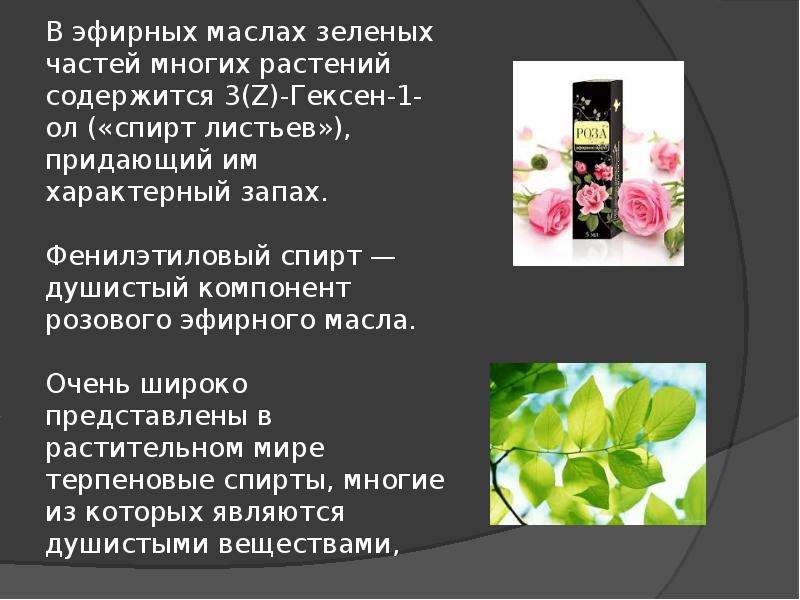 Какие вещества придают запах. Эфирных маслах зелёных частей многих растений. Растения содержащие спирты. Растения со специфическим запахом. Этанол содержится в листьях растений.