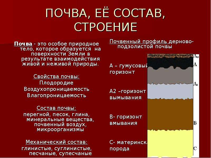 Почва 6 класс география презентация