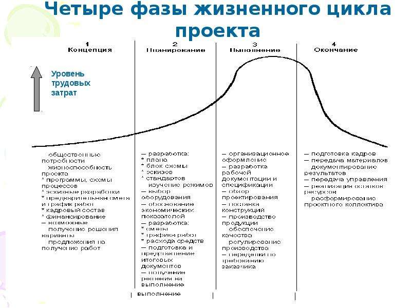 Жизненный цикл проекта включает в себя следующие фазы