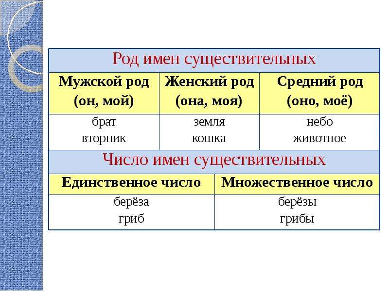 Кругом какой род. Род имен существительных таблица. Русский язык род имен существительных. Мужской женский средний род в русском языке. Правило мужской женский средний род.
