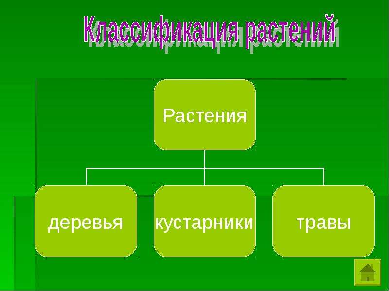 Классификация растений для своих одноклассников. Классификация растений. Классификация растений 3 класс окружающий мир. Типы растительности схема. Квалификация растений.