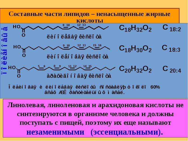 Презентация на тему липиды по химии