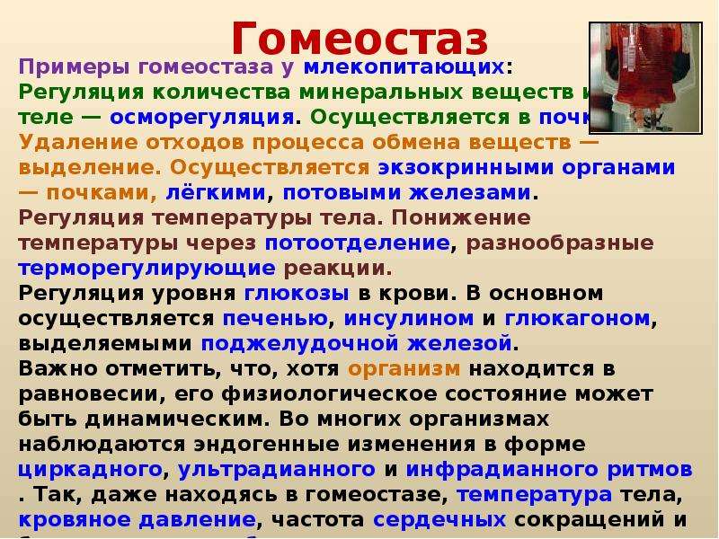 Благодаря изменению. Гомеостаз. Понятие о гомеостазе. Примеры гомеостаза у человека. Процесс гомеостаза.