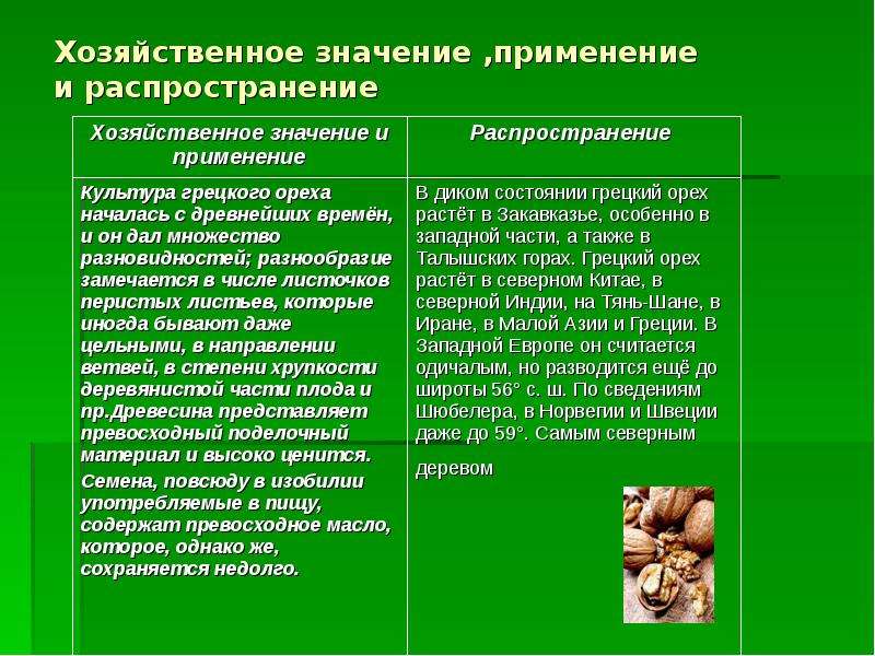 Хозяйственное значение в природе. Хозяйственное значение растений. Орех хозяйственное значение. Луковые растения хозяйственное значение. Хозяйственно значимое растение.