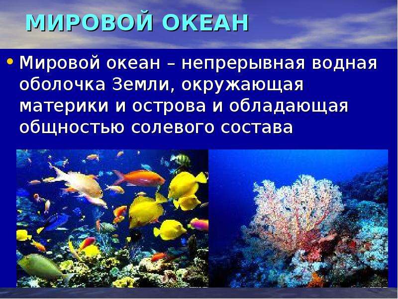 Группы живых организмов в океане. Функции мирового океана. Цветные моря презентация. Роль мирового океана в жизни человека. Путешествие по морскому дну презентация.