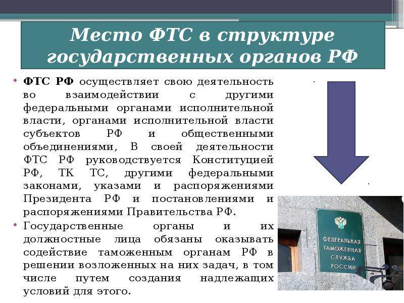 Роль государственных органов. Место ФТС В системе исполнительной власти. Взаимодействие ФТС РФ С федеральными органами исполнительной власти. Место ФТС России в системе органов исполнительной власти. Место ФТС В структуре государственных органов РФ.