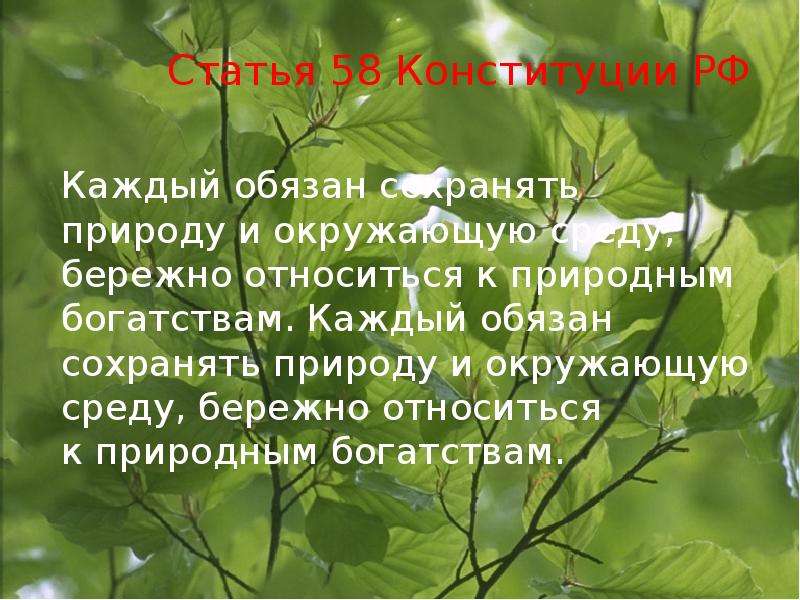 Граждане обязаны сохранять природу и окружающую среду