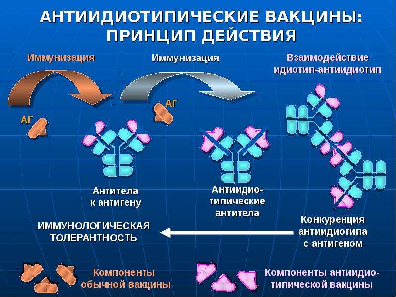 Презентация вакцины будущего