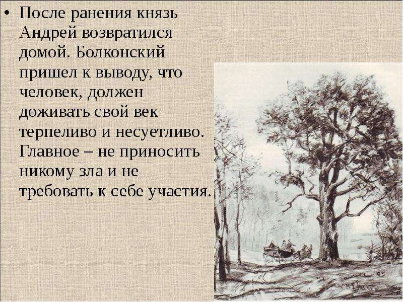 Приходить князь. Болконский после ранения. Раненый князь Андрей. Ранение князя Андрея. Ранение князя Андрея Болконского.