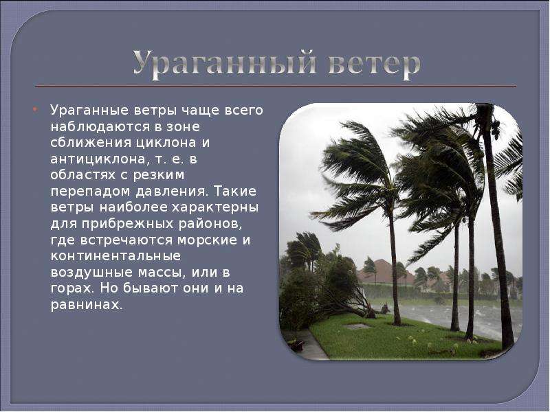 Частый ветер. Где встречаются ветра игра. Откуда чаще всего приходят циклоны. Циклон где часто всего встречается. В какое время года наиболее часто происходят Ураганные ветры?.