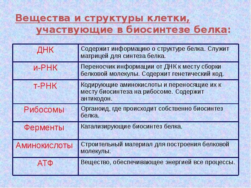 Биосинтез белка технологическая карта - 94 фото