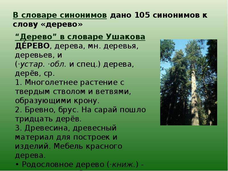 Trees текст