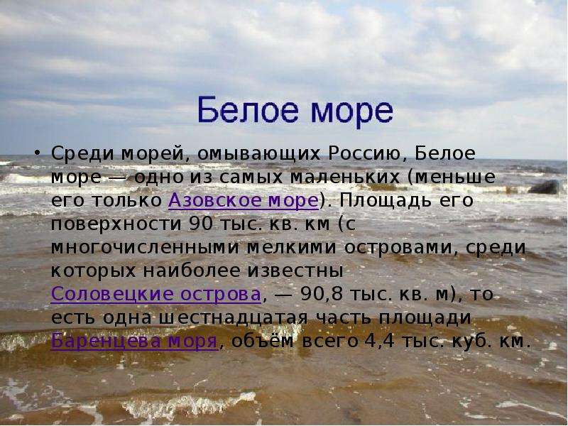 Белое море презентация