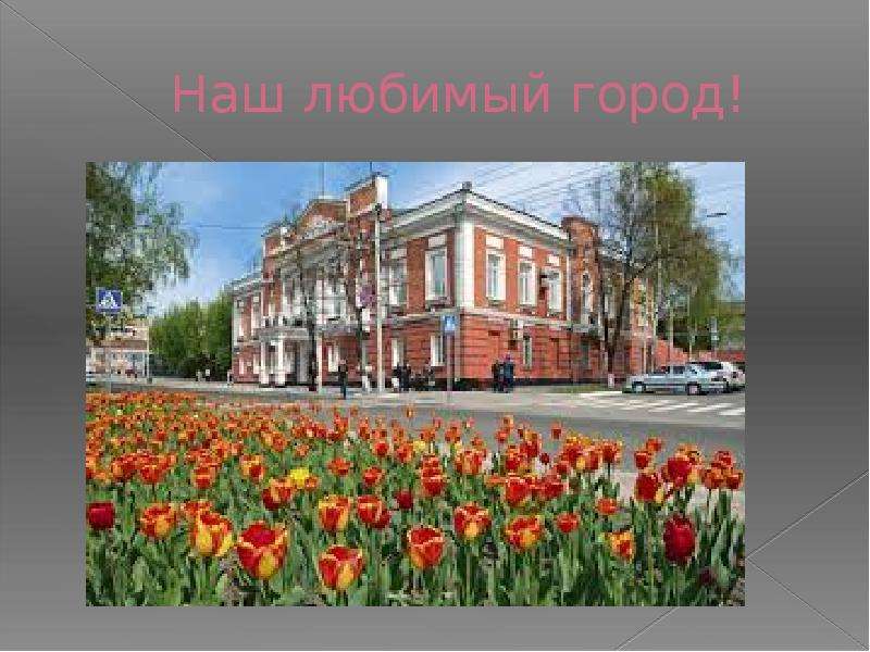 Проект города барнаула