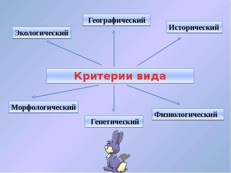 Презентация вид и критерии вида 9 класс