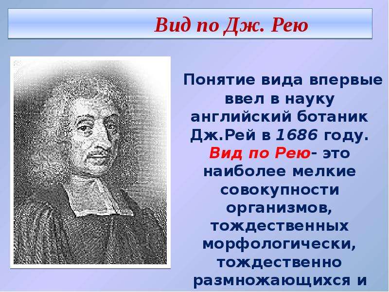 Какое понятие ввел. Кто ввел понятие вид. Кто впервые ввел термин биология. Впервые понятие вид ввел. Кто впервые ввел термин прогноз.