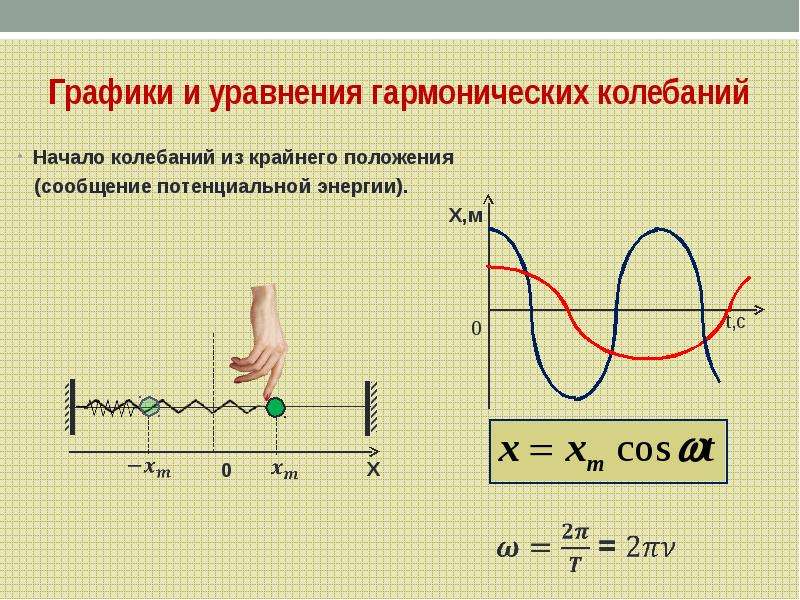 Гармонические колебания потенциальная. Гармонические колебания уравнение и график. Период колебаний из уравнения гармонических колебаний. Как строить графики колебаний физика. Формула координаты гармонических колебаний.