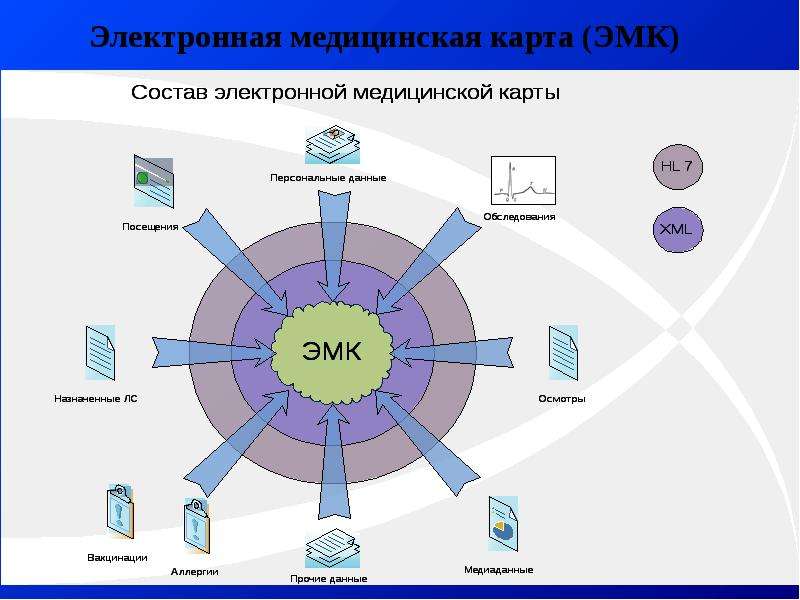 Электронная медицинская карта московская область