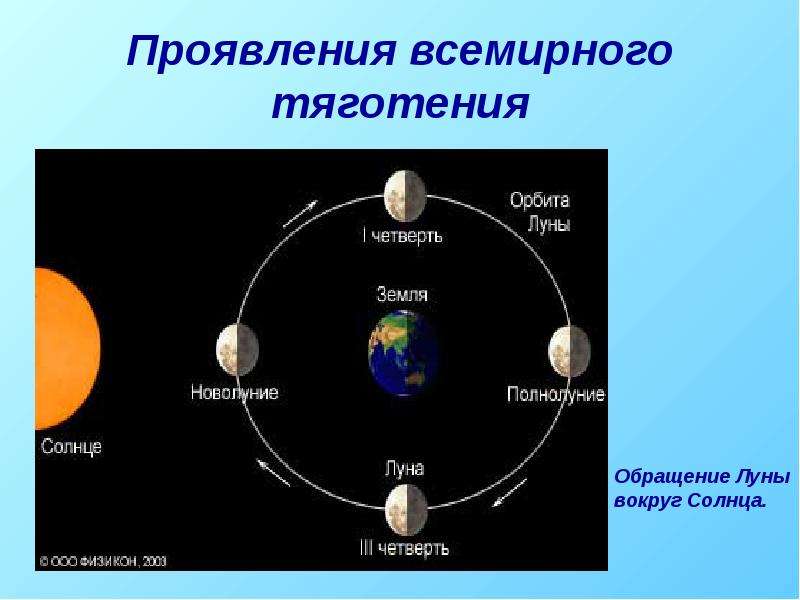 Четверть земли. Проявление Всемирного тяготения. Сила Всемирного тяготения примеры. Проявление закона Всемирного тяготения. Проявление силы Всемирного тяготения.