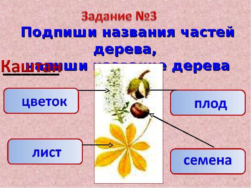 Окружающий мир 1 класс 1 урок презентация школа россии презентация