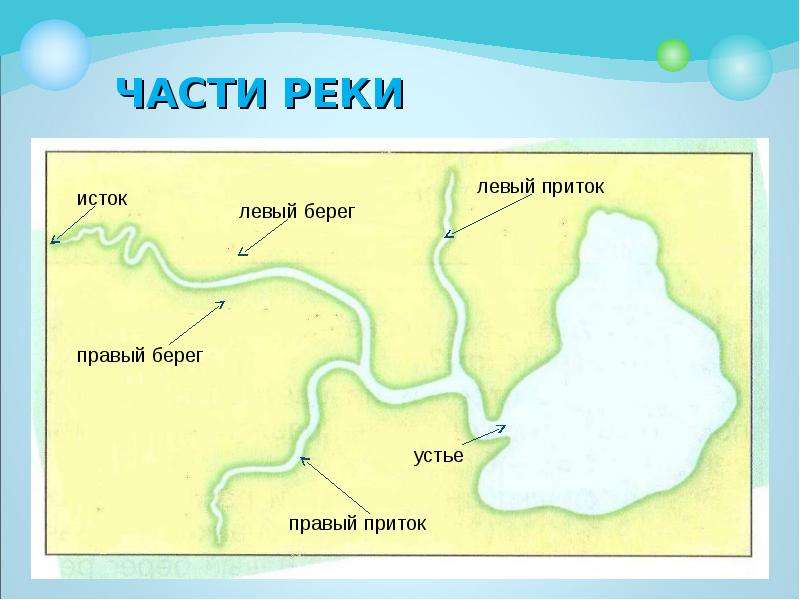 Соотнеси части речной системы с точками на изображении география 6 класс