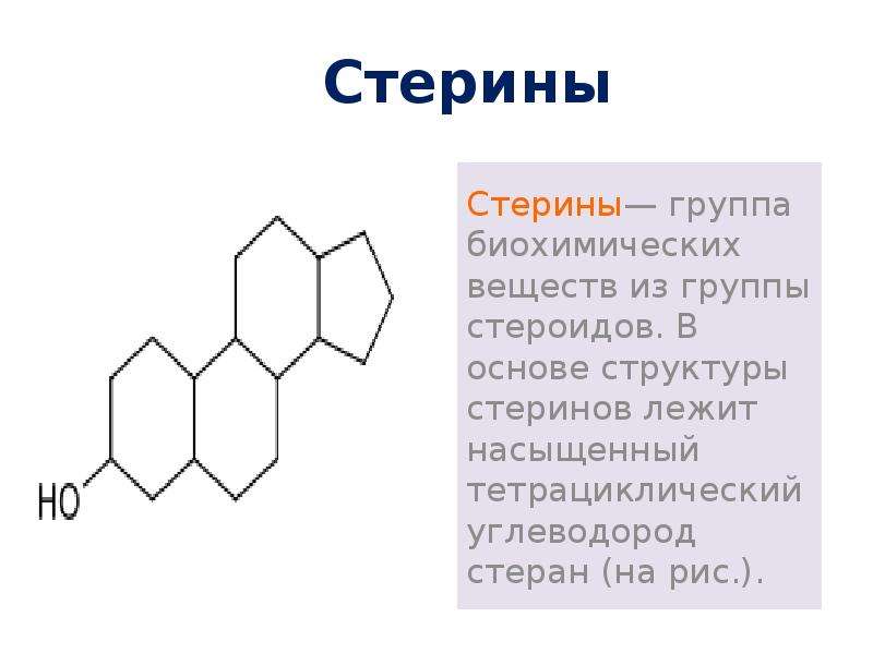 Строение основа. Стерины формула. Тетрациклический углеводород. Стерины и стероиды. Углеводород лежащий в основе стероидов.