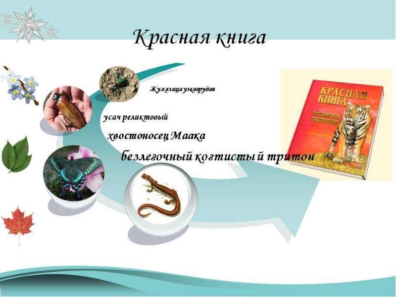 Проект книга 2 класс