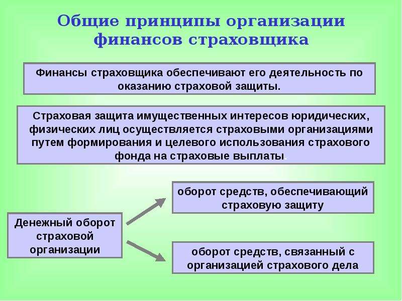 Принципы организации финансов. Финансовые основы страховой деятельности. Общие принципы организации финансов страховщика.